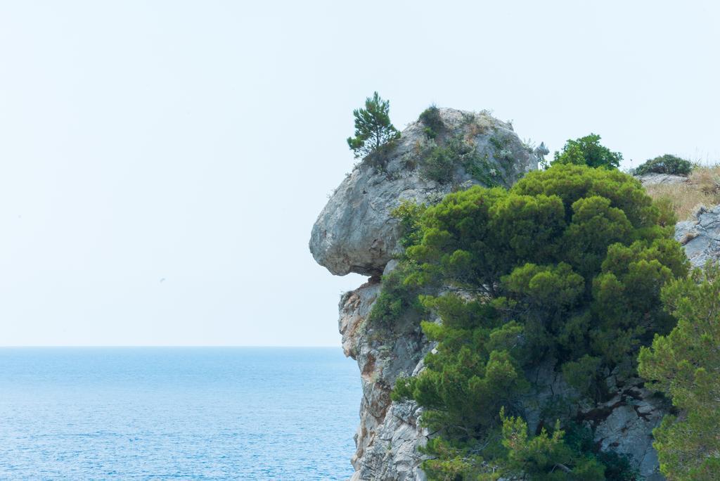 Luxury Old Town Apartment With Breathtaking Sea View Dubrovník Exteriér fotografie